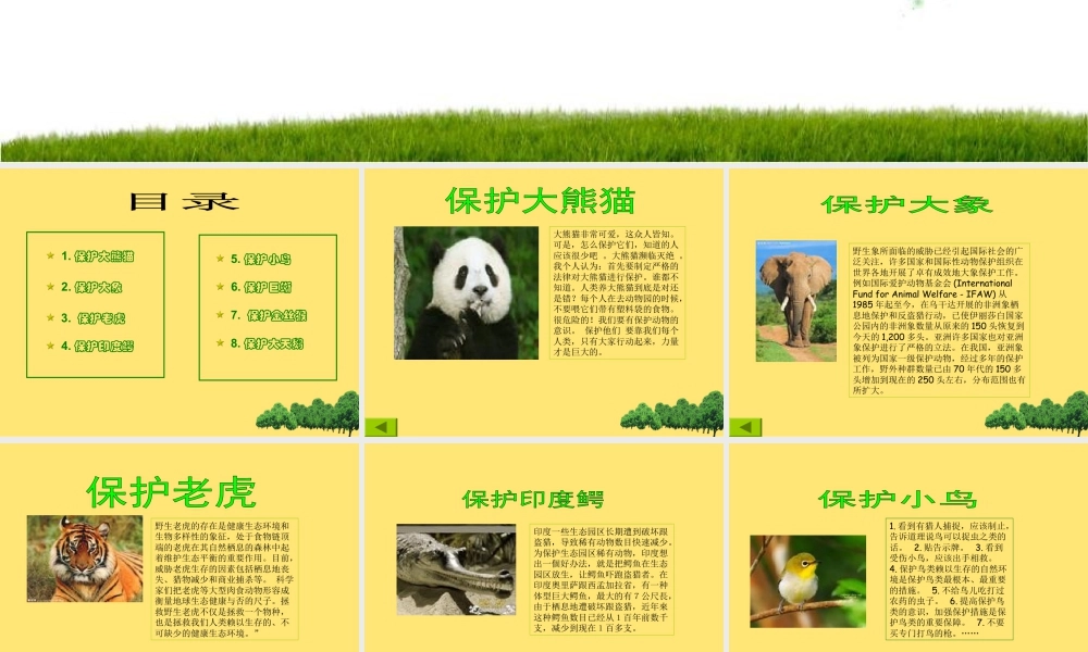 人教版三年级小学美术课件-《保护珍稀野生动物》课件2.ppt