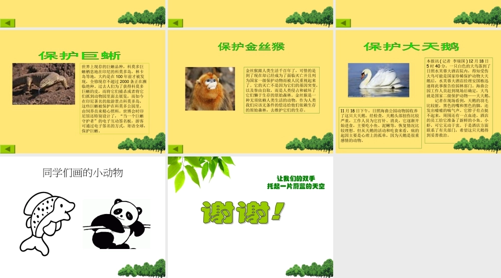 人教版三年级小学美术课件-《保护珍稀野生动物》课件2.ppt
