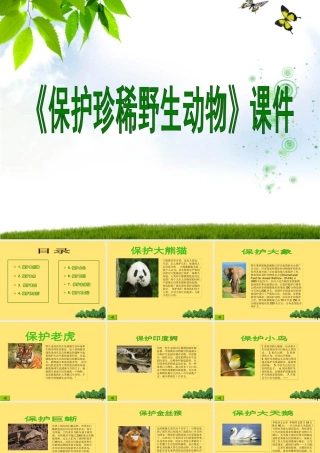 人教版三年级小学美术课件-《保护珍稀野生动物》课件2.ppt
