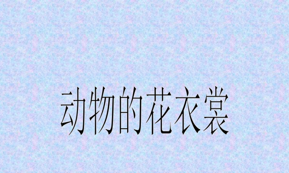 人教版三年级小学美术课件-《动物的花衣裳》课件.ppt