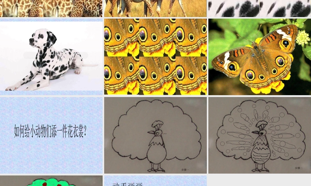 人教版三年级小学美术课件-《动物的花衣裳》课件.ppt