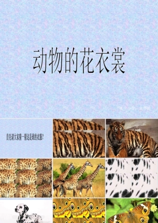 人教版三年级小学美术课件-《动物的花衣裳》课件.ppt