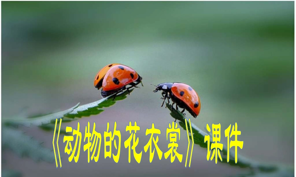 人教版三年级小学美术课件-《动物的花衣裳》课件1.ppt