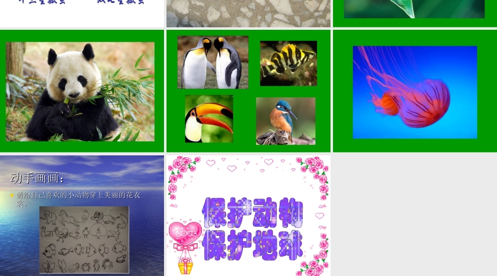 人教版三年级小学美术课件-《动物的花衣裳》课件1.ppt