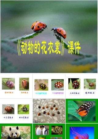 人教版三年级小学美术课件-《动物的花衣裳》课件1.ppt