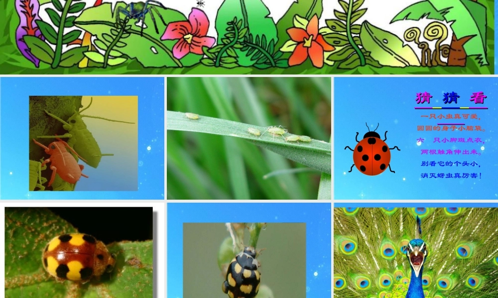 人教版三年级小学美术课件-《动物的花衣裳》课件2.ppt