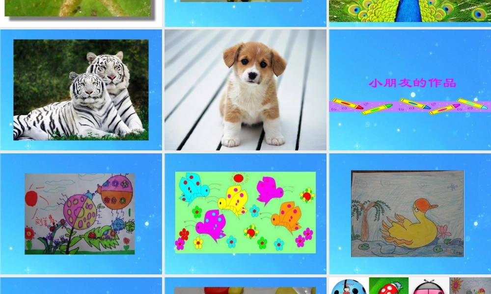 人教版三年级小学美术课件-《动物的花衣裳》课件2.ppt