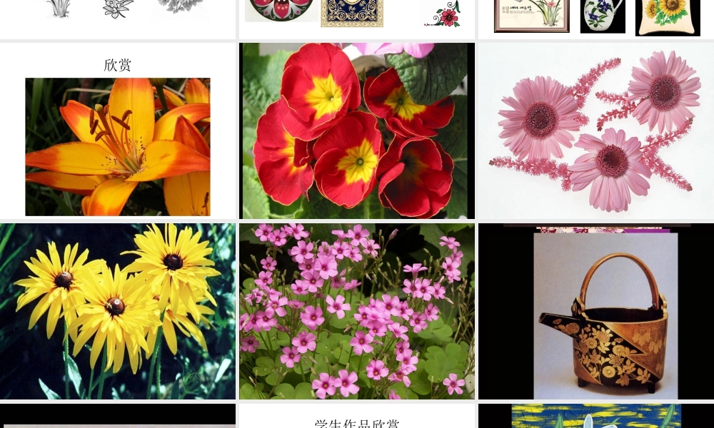 人教版三年级小学美术课件-《美丽的花》课件.ppt