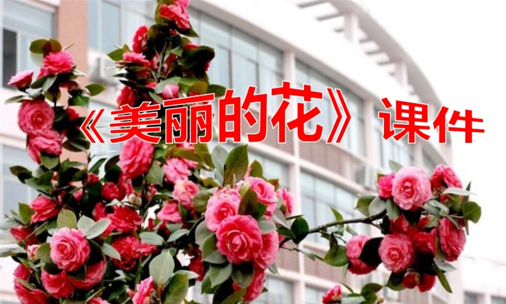 人教版三年级小学美术课件-《美丽的花》课件1.ppt
