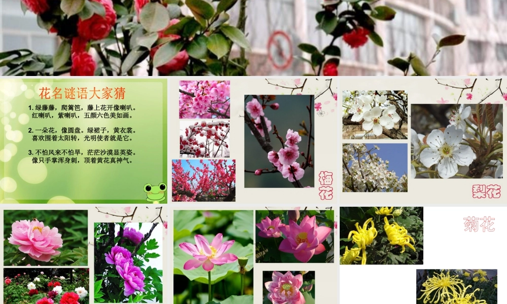 人教版三年级小学美术课件-《美丽的花》课件1.ppt