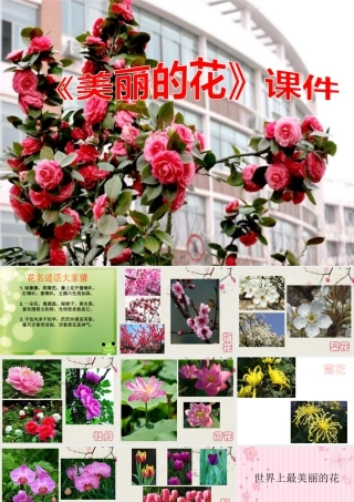 人教版三年级小学美术课件-《美丽的花》课件1.ppt