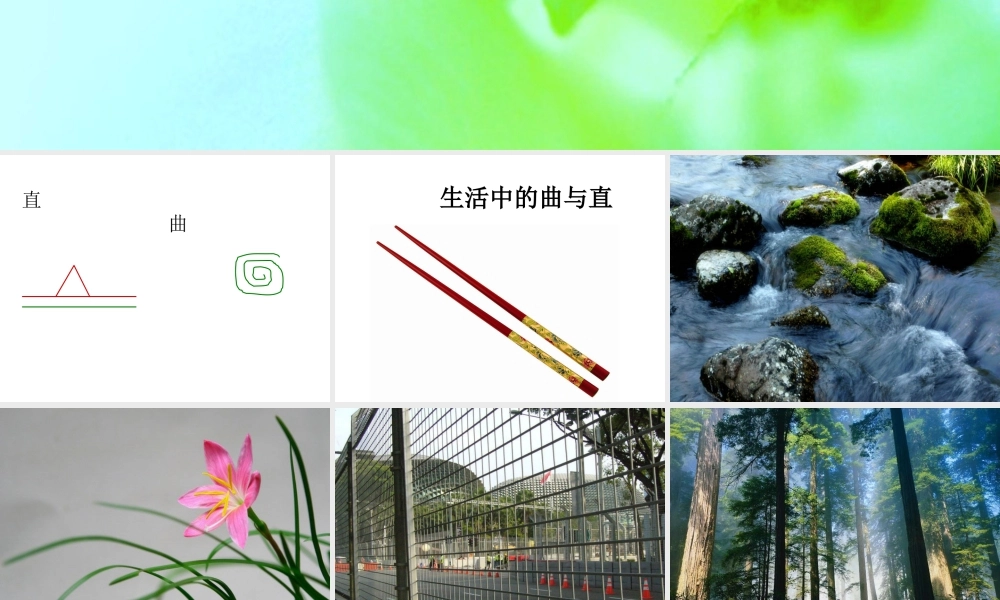 人教版三年级小学美术课件-《曲曲直直》课件.ppt