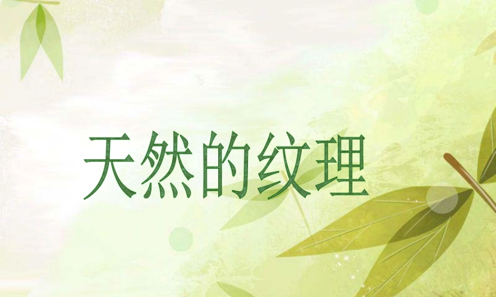 人教版三年级小学美术课件-《天然的纹理》课件.ppt