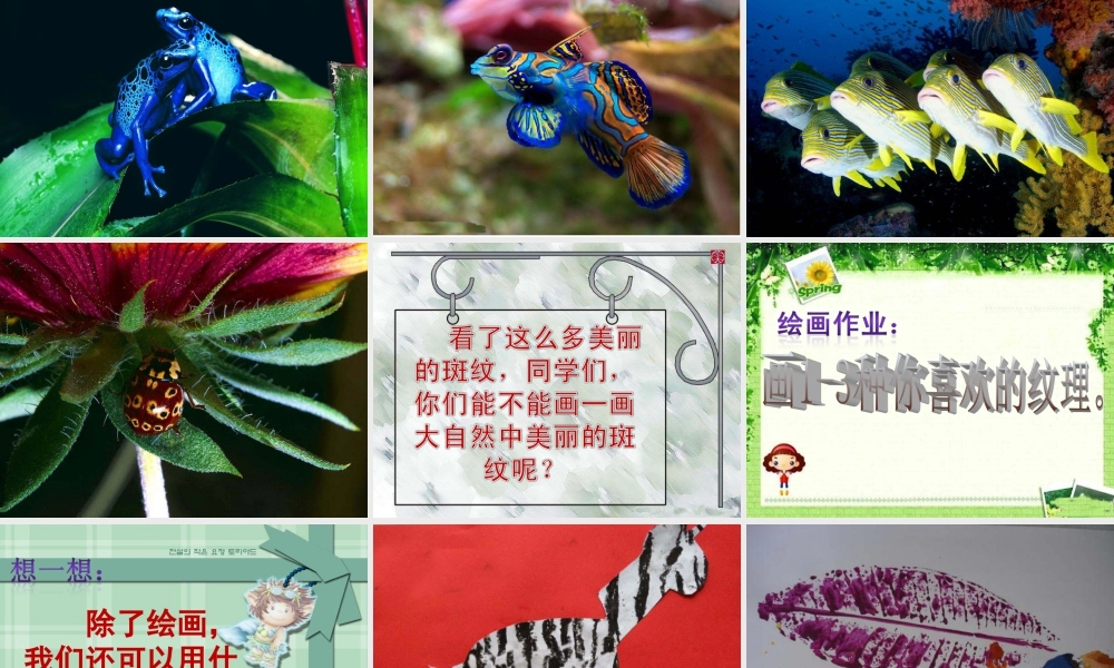 人教版三年级小学美术课件-《天然的纹理》课件.ppt