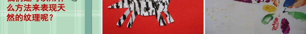 人教版三年级小学美术课件-《天然的纹理》课件.ppt