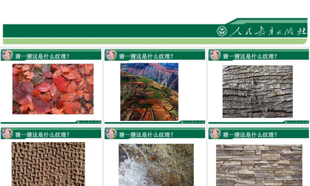 人教版三年级小学美术课件-《天然的纹理》课件1.ppt