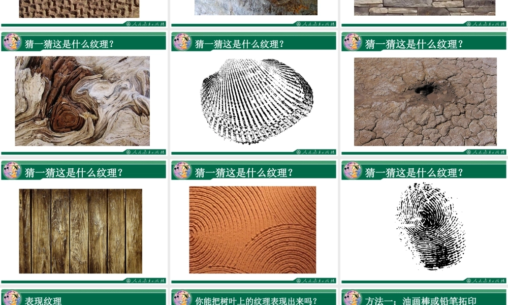 人教版三年级小学美术课件-《天然的纹理》课件1.ppt