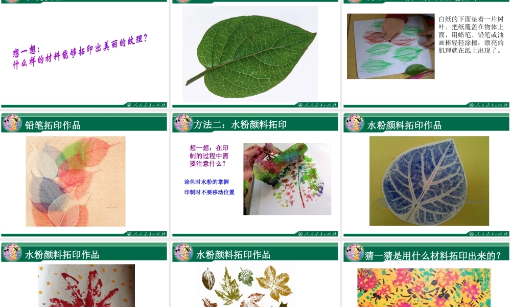 人教版三年级小学美术课件-《天然的纹理》课件1.ppt