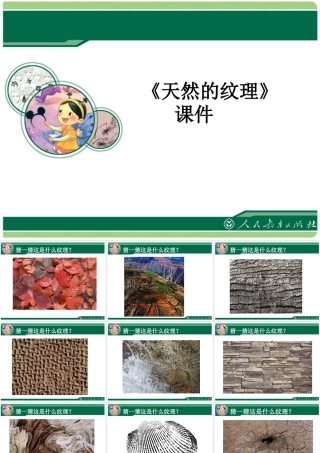 人教版三年级小学美术课件-《天然的纹理》课件1.ppt