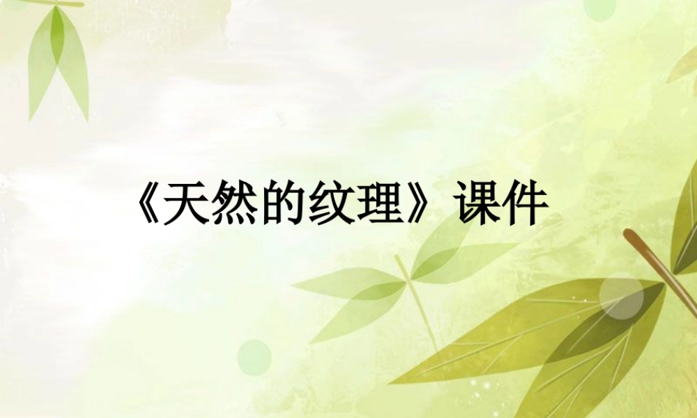 人教版三年级小学美术课件-《天然的纹理》课件2.ppt