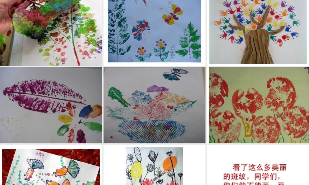 人教版三年级小学美术课件-《天然的纹理》课件2.ppt