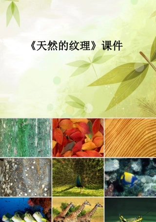 人教版三年级小学美术课件-《天然的纹理》课件2.ppt