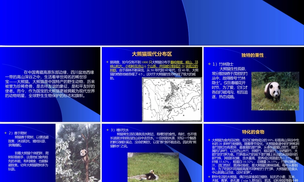 人教版三年级小学美术课件-大熊猫.ppt