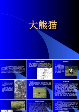 人教版三年级小学美术课件-大熊猫.ppt