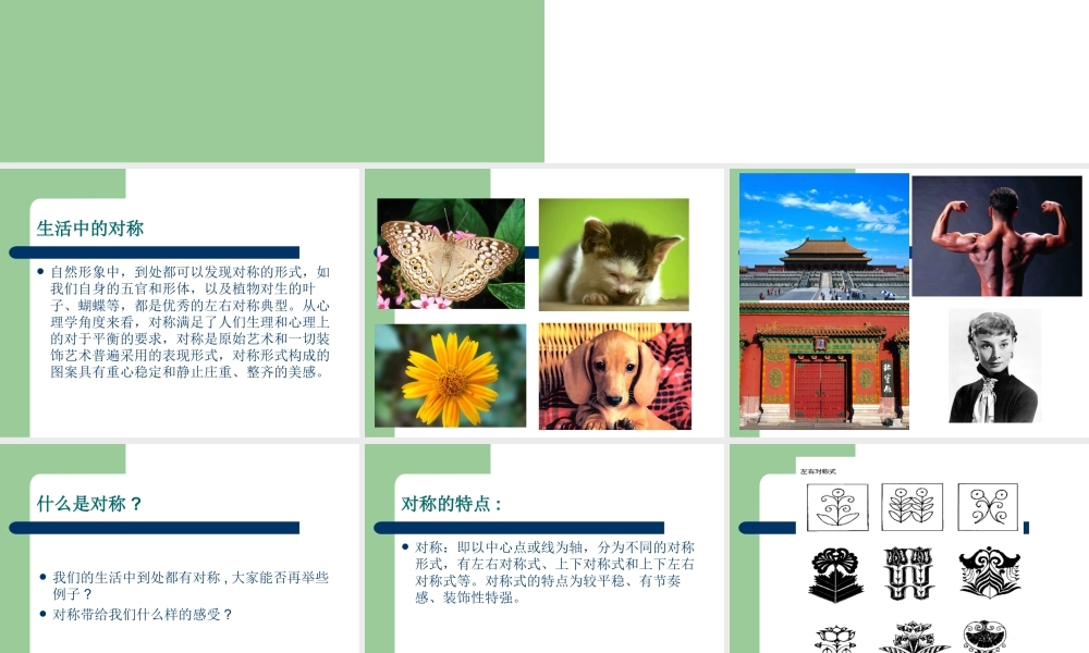 人教版三年级小学美术课件-美术对称.ppt