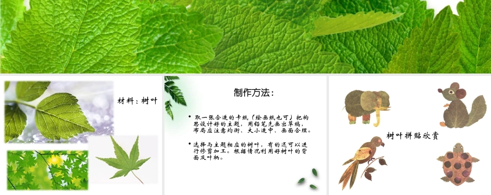 人教版三年级小学美术课件-树叶拼贴制作方法.ppt