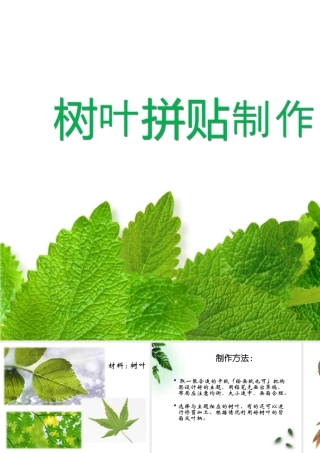 人教版三年级小学美术课件-树叶拼贴制作方法.ppt