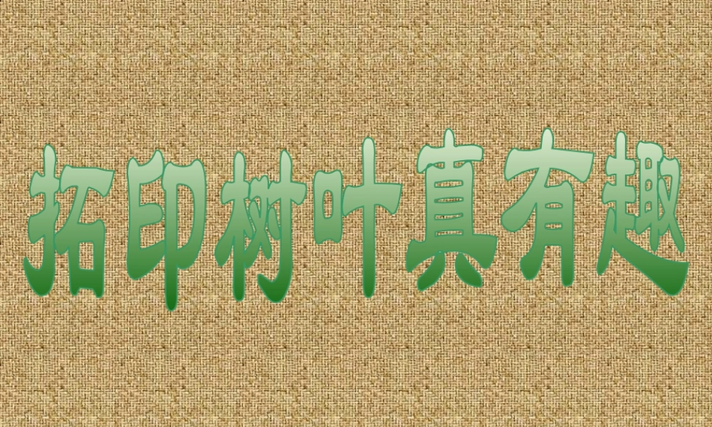 人教版三年级小学美术课件-拓印树叶真有趣.ppt