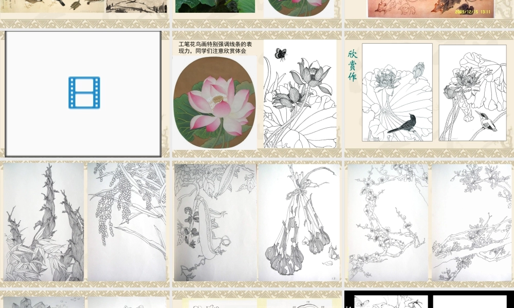 人教版三年级小学美术课件-中国画之工笔画——白描花卉.ppt