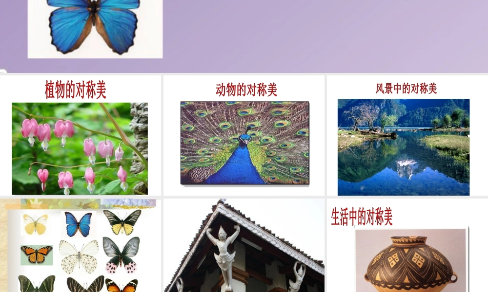 人教版四年级小学美术课件-《对称的美》课件3.ppt