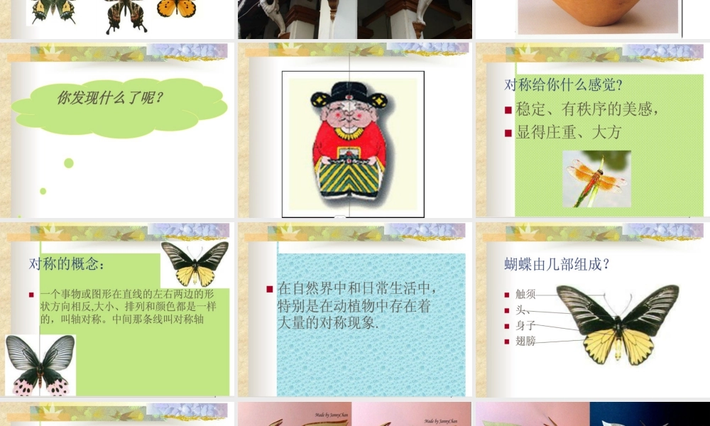 人教版四年级小学美术课件-《对称的美》课件3.ppt