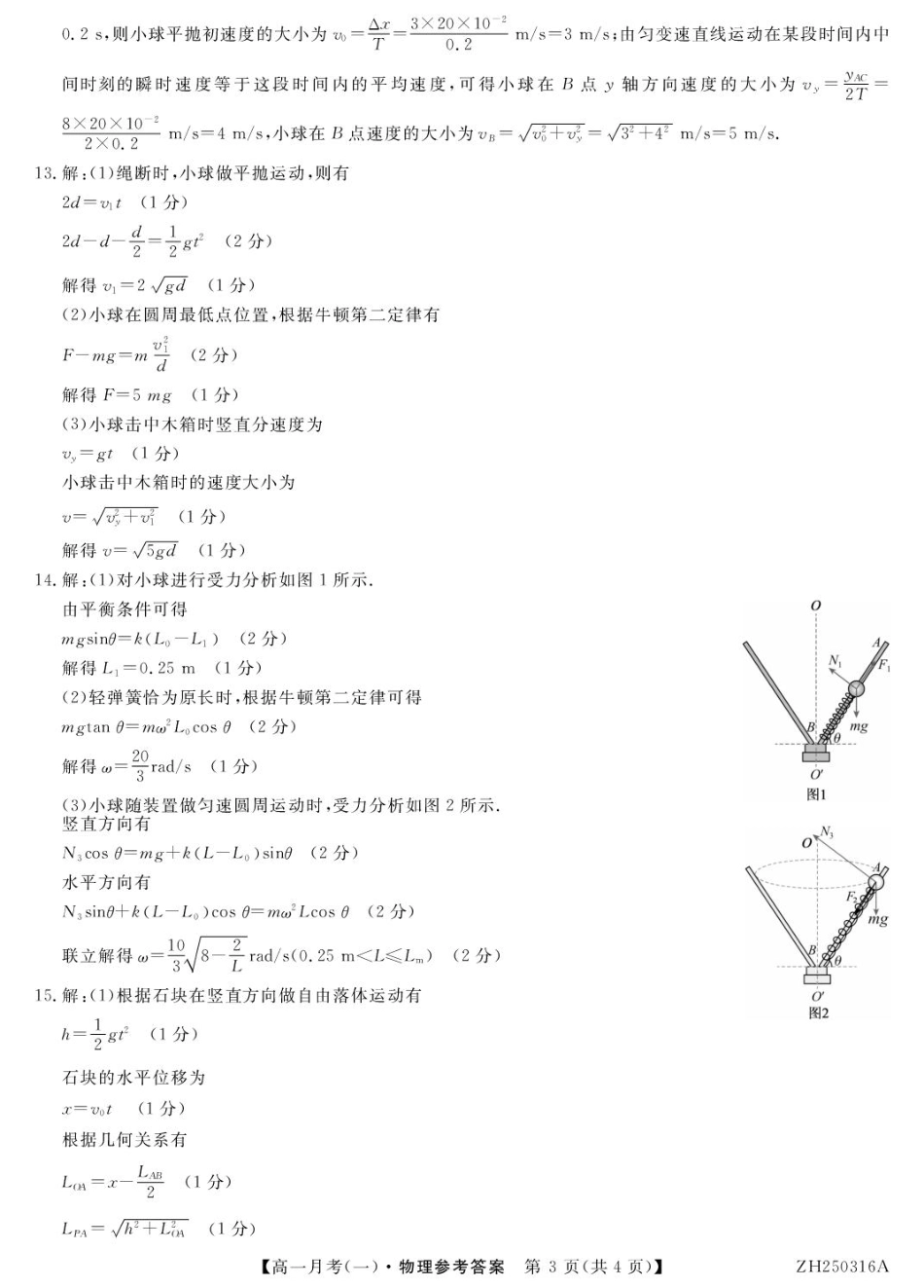 甘肃省定西市岷县第一中学2024-2025学年高一下学期4月月考物理答案.pdf_第3页