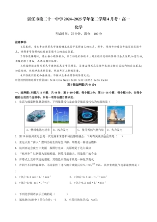 广东省湛江市第二十一中学2024-2025学年高一下学期4月月考化学试题.docx