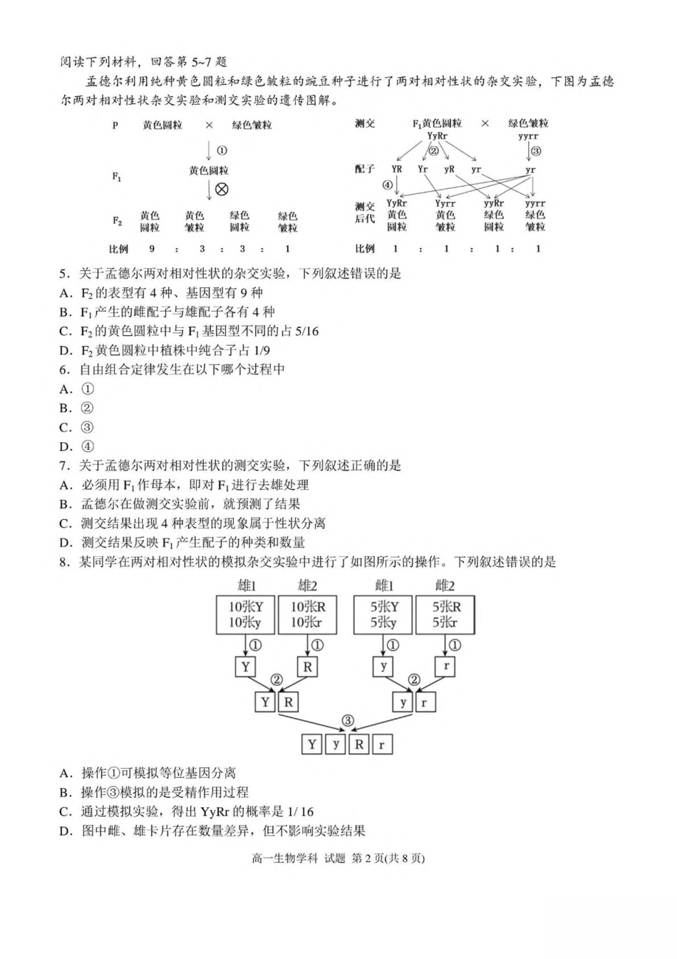 浙江省嘉兴市八校联盟2024-2025学年高一下学期4月期中联考生物试卷（扫描版有答案）.pdf_第2页