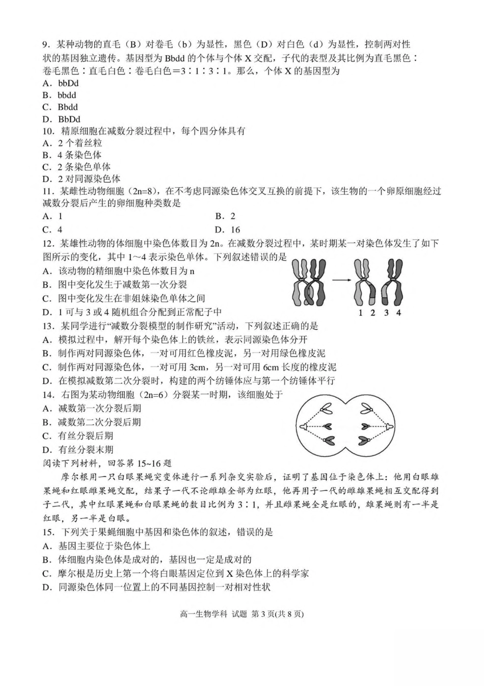 浙江省嘉兴市八校联盟2024-2025学年高一下学期4月期中联考生物试卷（扫描版有答案）.pdf_第3页