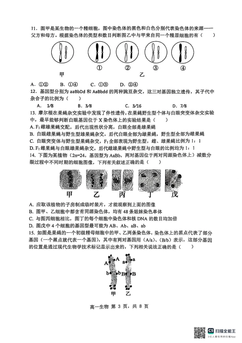 黑龙江省哈尔滨市第三中学校2024-2025学年高一下学期4月月考生物试题（PDF版，无答案）.pdf_第3页