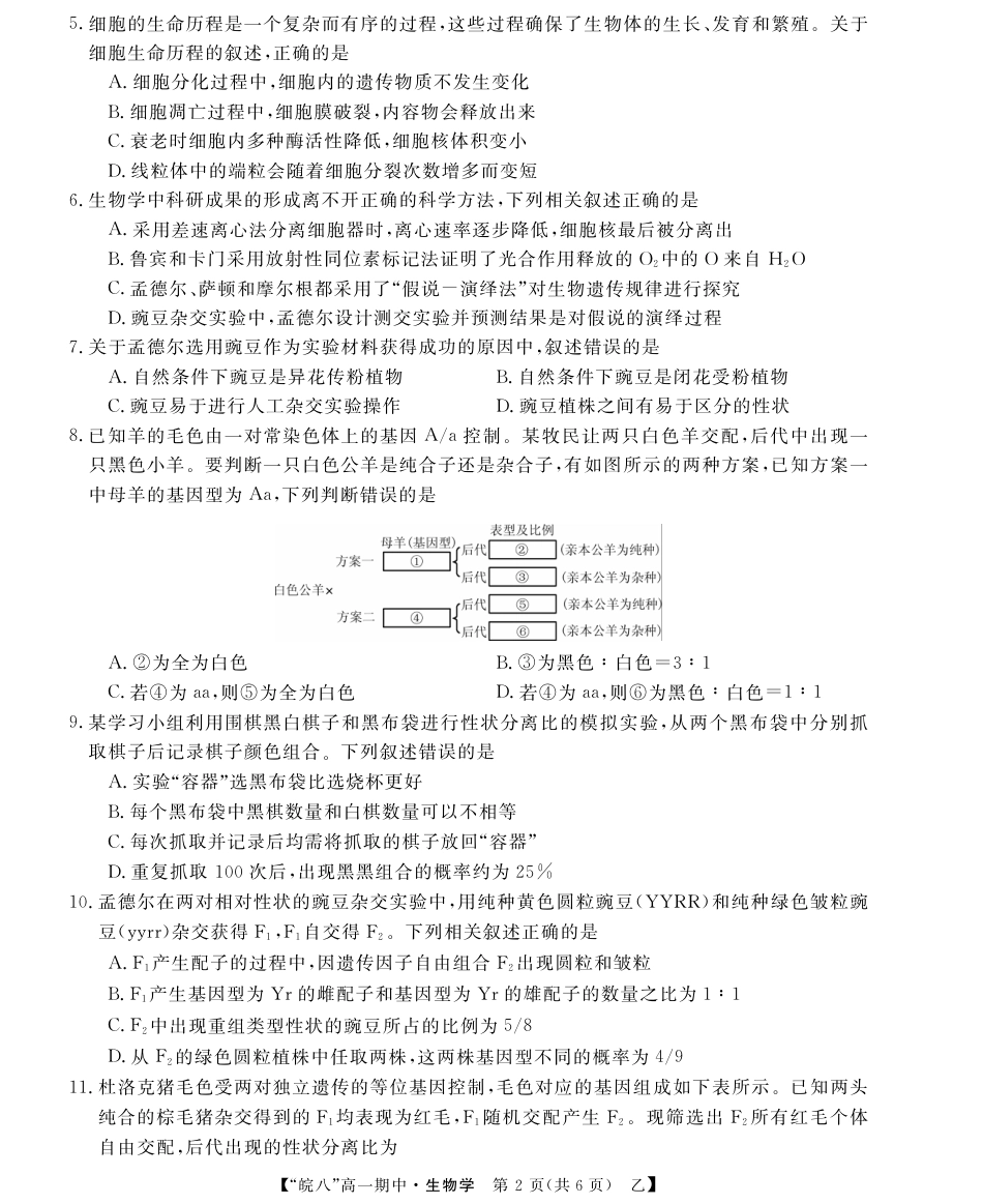 “皖南八校”2024-2025学年高一第二学期期中考试-生物（乙）.pdf_第2页