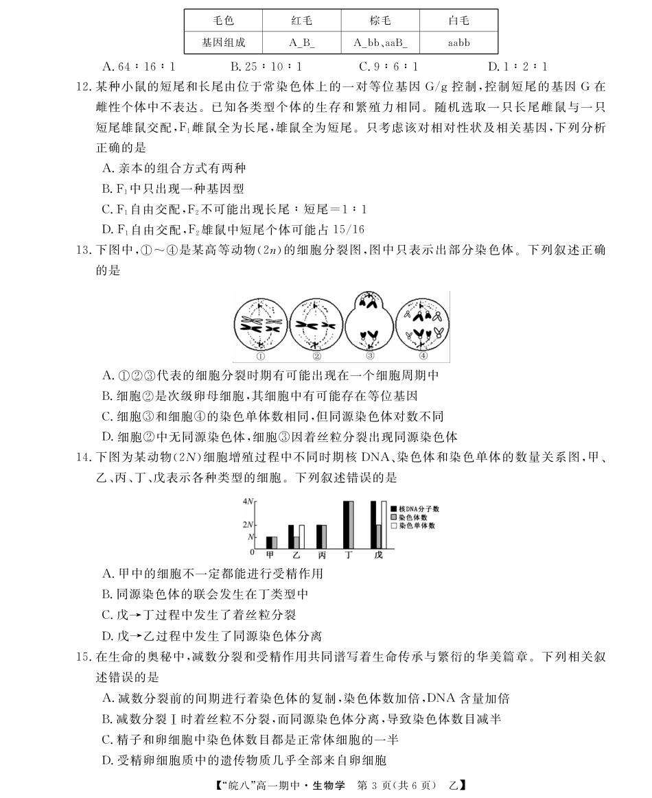 “皖南八校”2024-2025学年高一第二学期期中考试-生物（乙）.pdf_第3页