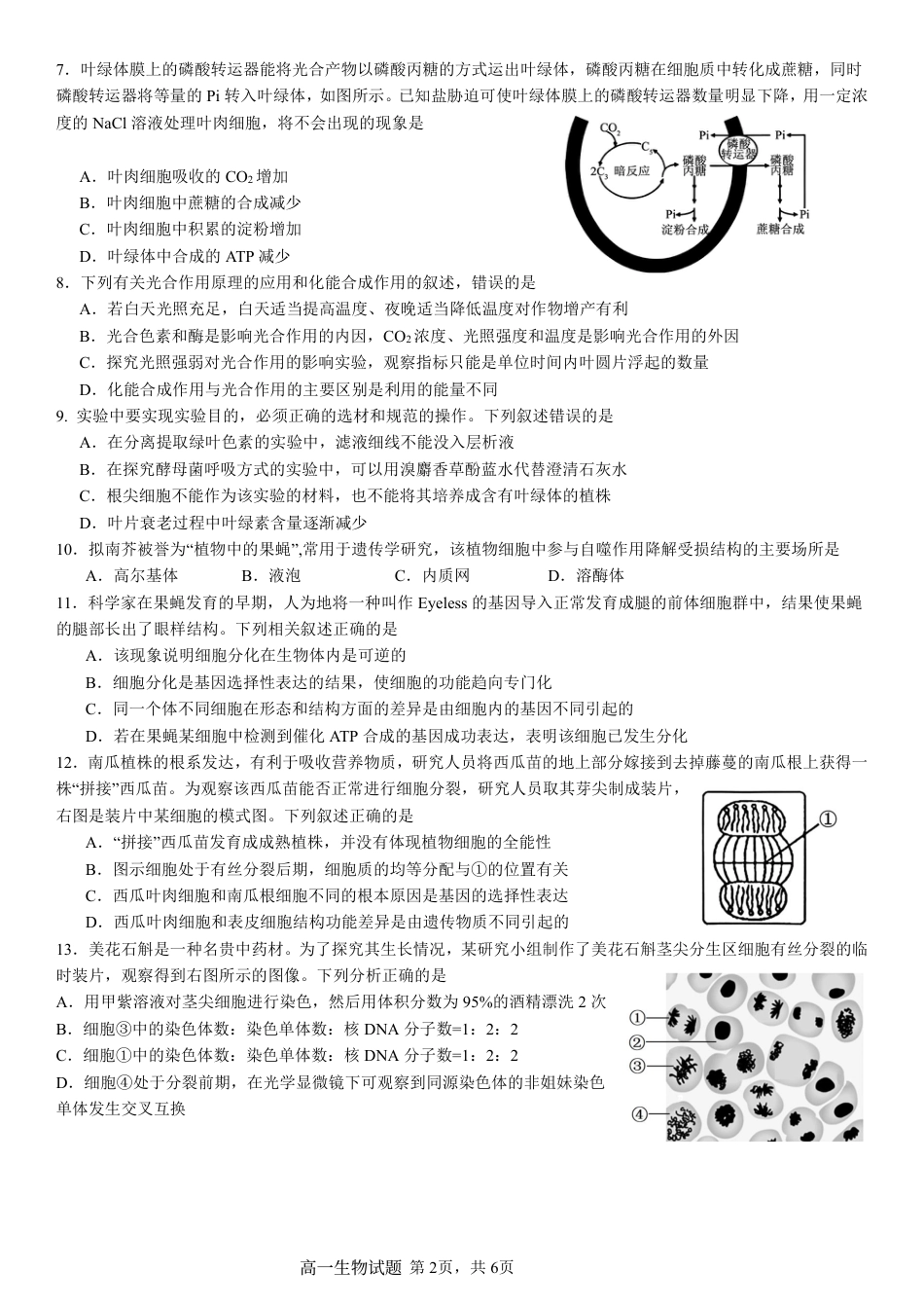 2024级高一下月考生物试题.pdf_第2页