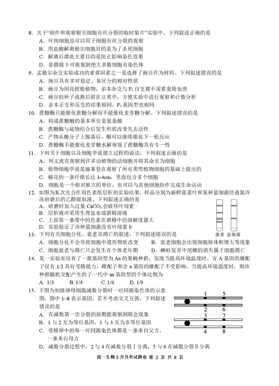 2503 浙江省四校联考生物高一试卷.pdf_第2页