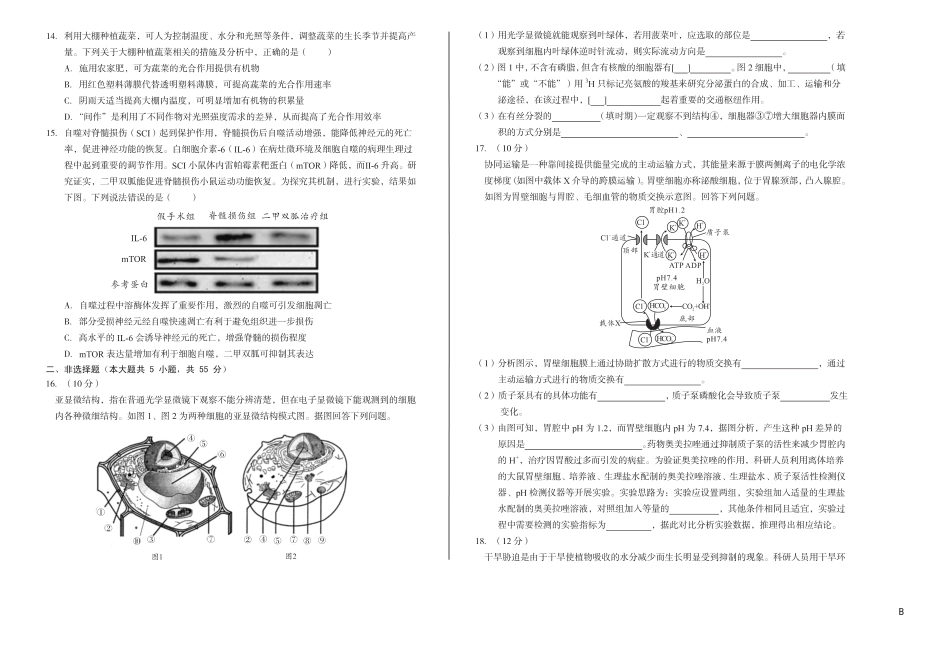 安徽省A10联盟2024-2025学年高一下学期3月阶段考生物试卷（B卷）（无答案）.pdf_第3页