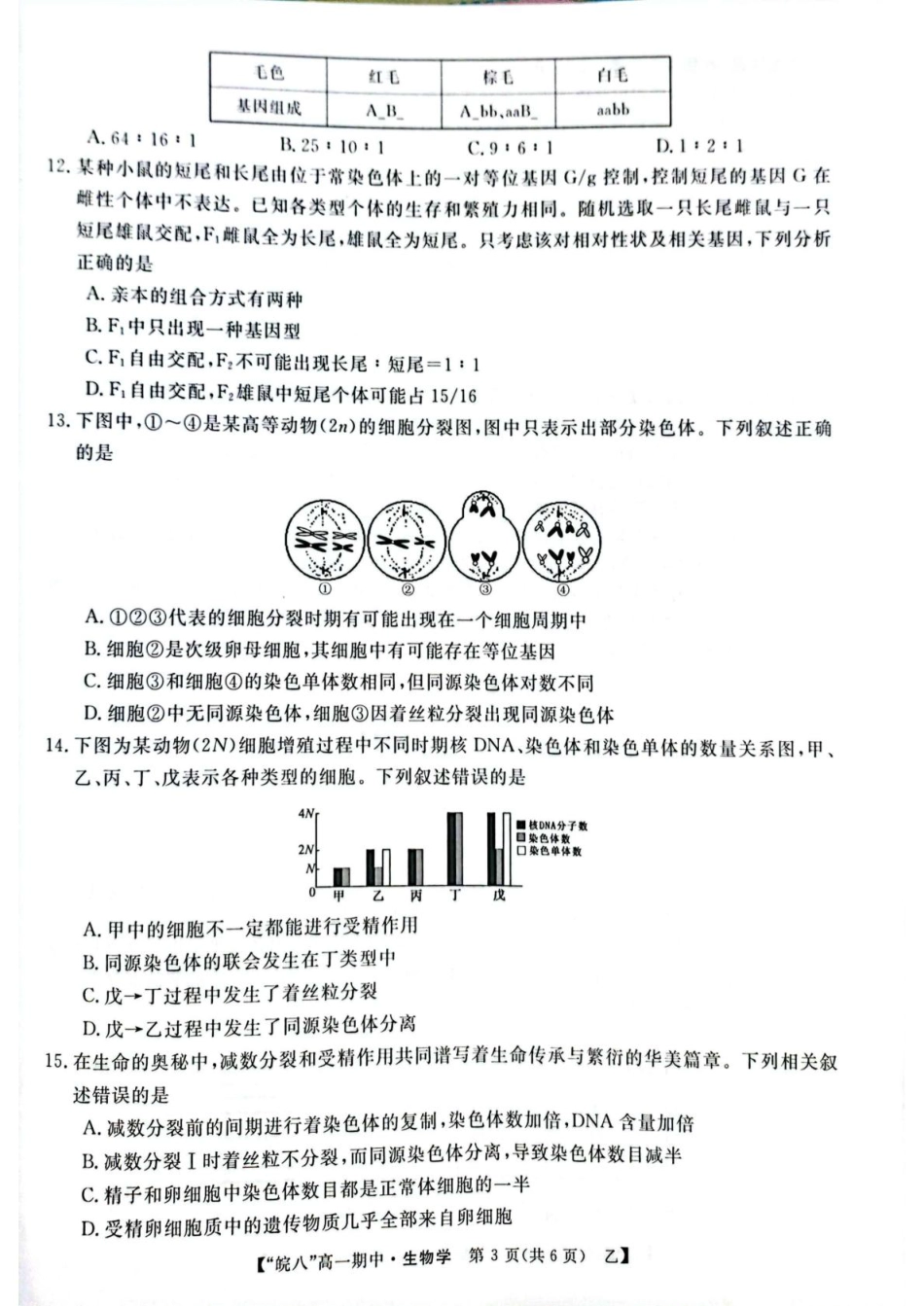 安徽省皖南八校2024-2025学年高一下学期4月期中生物（甲）试题（扫描版，含答案）.pdf_第3页