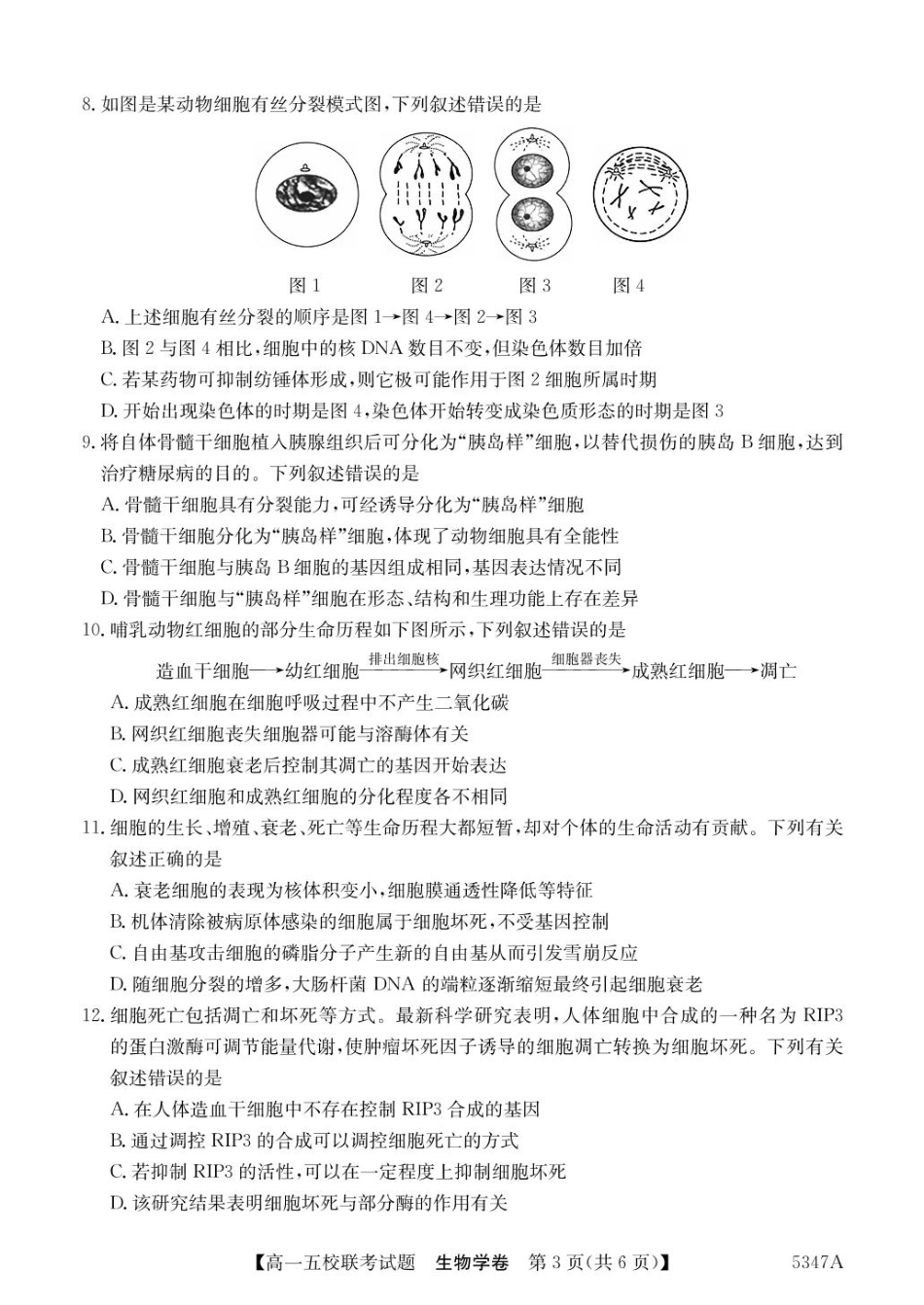 广东省惠州仲恺中学等五校2024-2025学年高一下学期4月联考生物试卷（扫描版有答案）.pdf_第3页