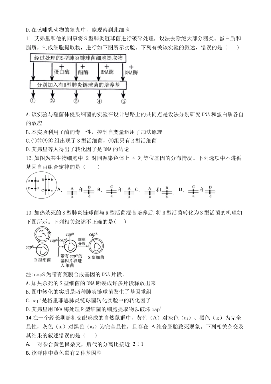 广东省湛江市第二十一中学2024-2025学年高一下学期4月月考生物试题.docx_第3页