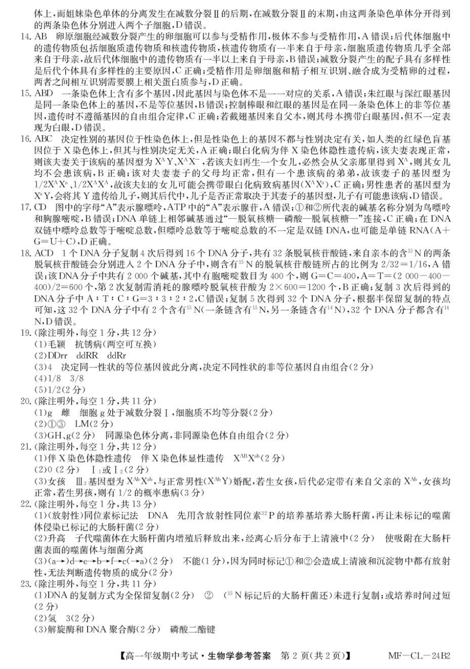 河北省沧州市四县联考2024-2025学年高一下学期4月期中生物答案.pdf_第2页