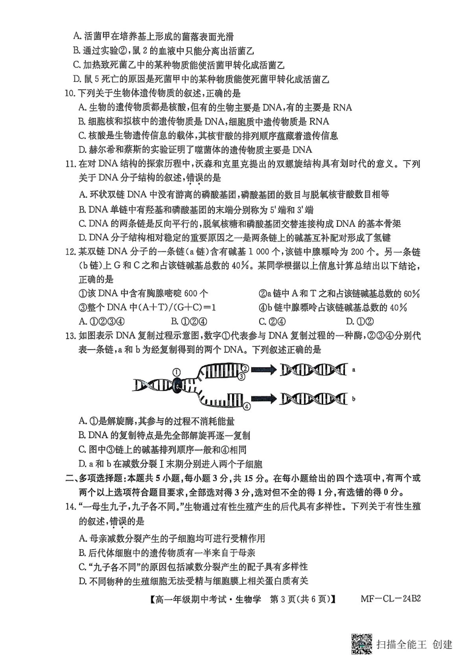 河北省沧州市四县联考2024-2025学年高一下学期4月期中生物试题.pdf_第3页